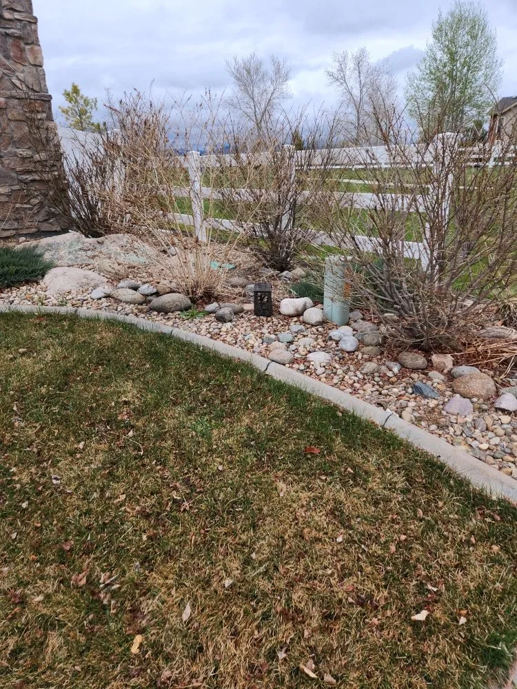 Local lawn care service in Loveland, CO by Roots Run Deep Lawncare And Sprinkler