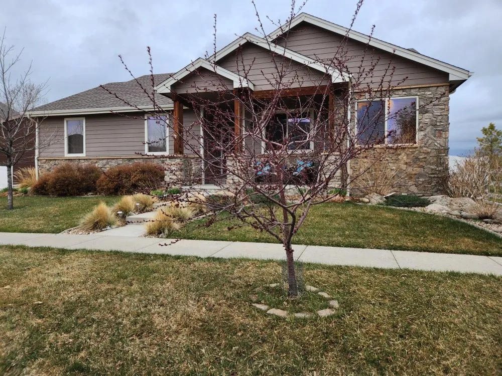 Affordable yard cleanup service for year-round maintenance in Loveland, CO by Roots Run Deep Lawncare And Sprinkler