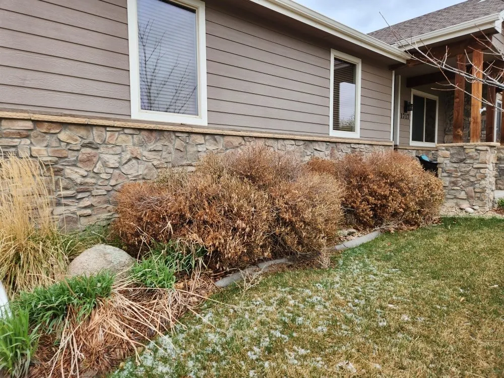 Affordable outdoor landscaping in Loveland, CO - Roots Run Deep Lawncare And Sprinkler