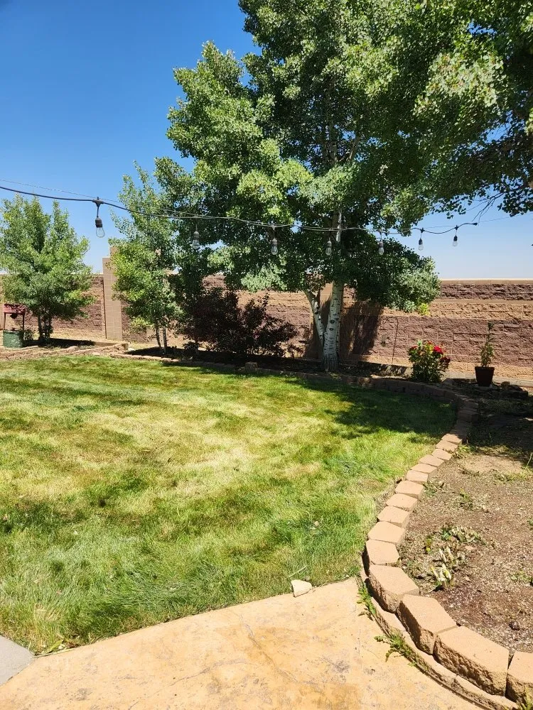 Reliable lawn mowing service experts serving Loveland, CO - Roots Run Deep Lawncare And Sprinkler