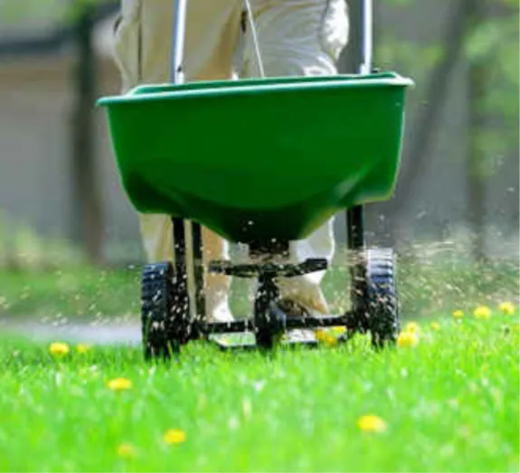 Local garden landscaping for year-round maintenance in Lyons, GA by Roots to Branches Turf and Ornamental
