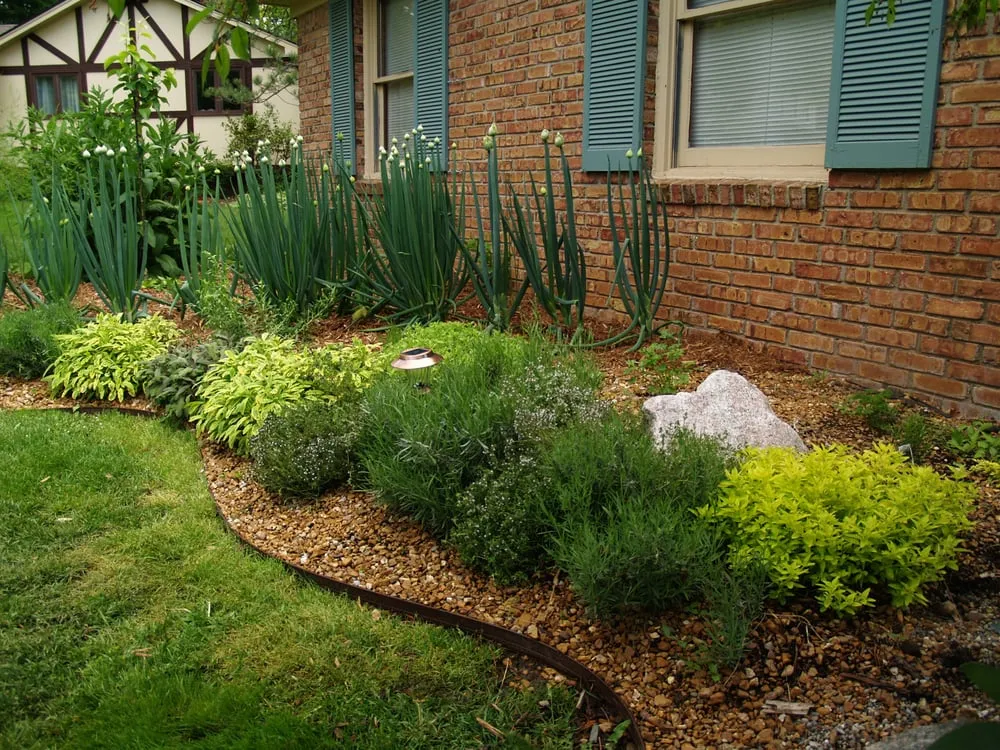 Professional outdoor landscaping for homes across Clarkston, MI - Roots to Fruits