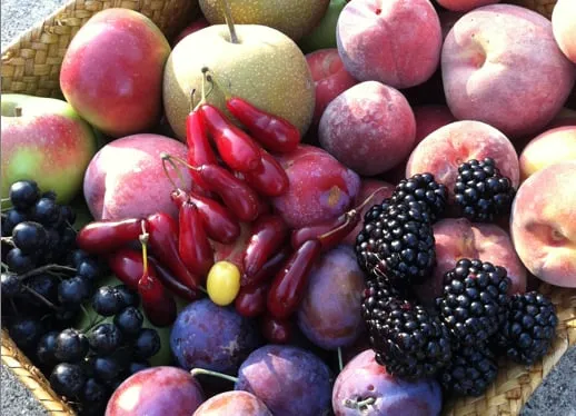 Reliable outdoor landscaping experts serving Clarkston, MI - Roots to Fruits