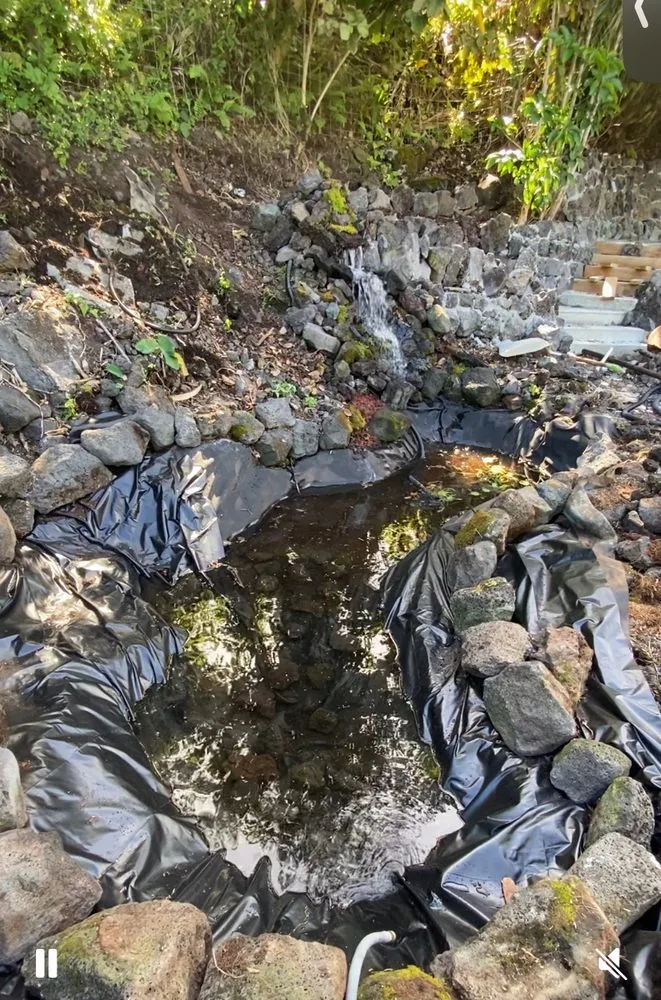 Reliable lawn care service for year-round maintenance across Hilo, HI - Roots to Fruits Landscape and Build