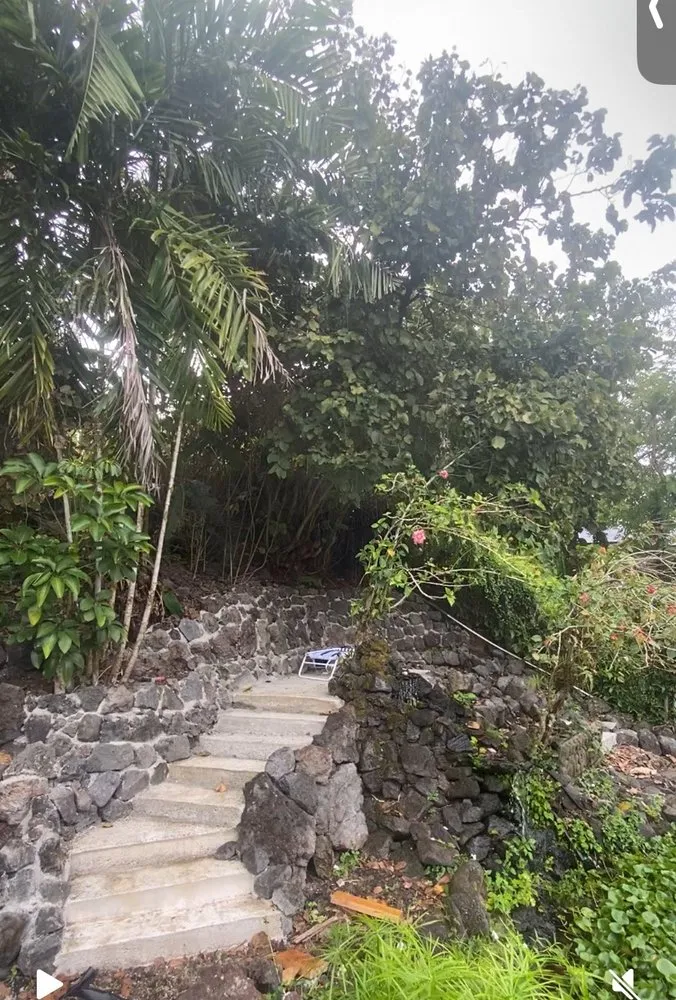 Reliable lawn care service experts serving Hilo, HI - Roots to Fruits Landscape and Build