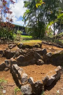 Roots to Fruits Landscape and Build Logo