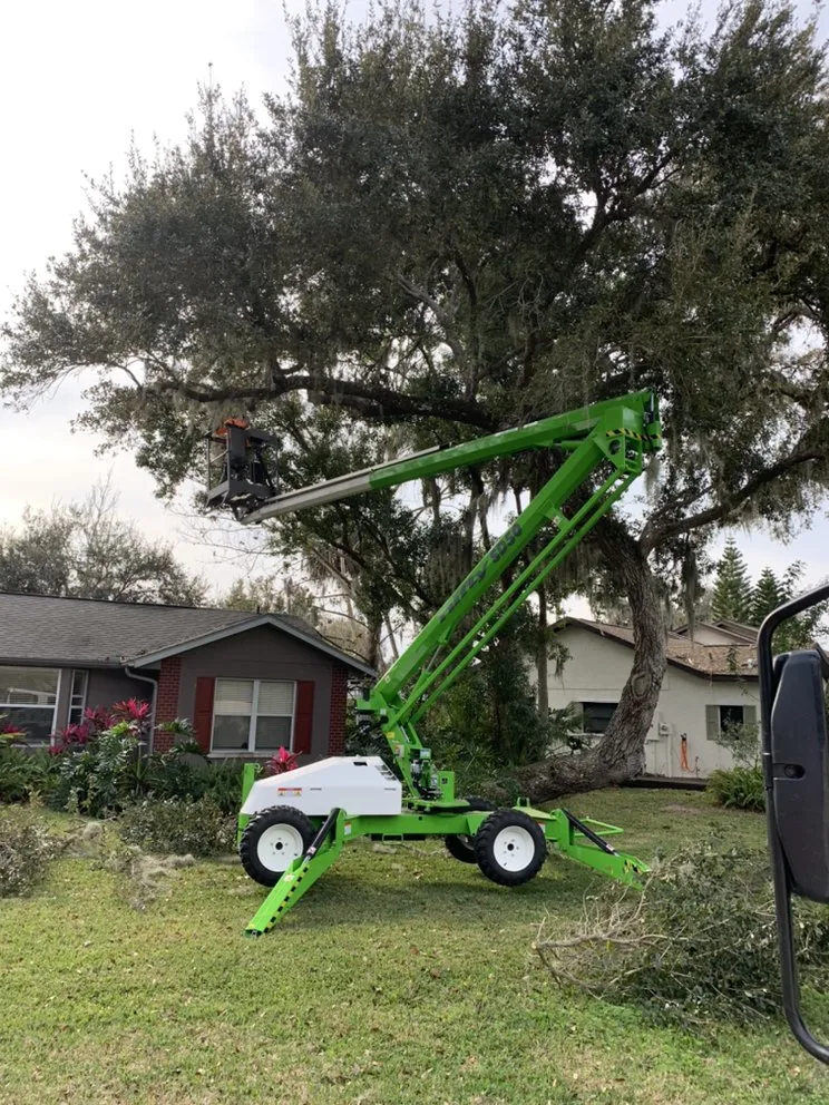 Affordable garden landscaping for outdoor upgrades across Ocala, FL - Roots To Shoots