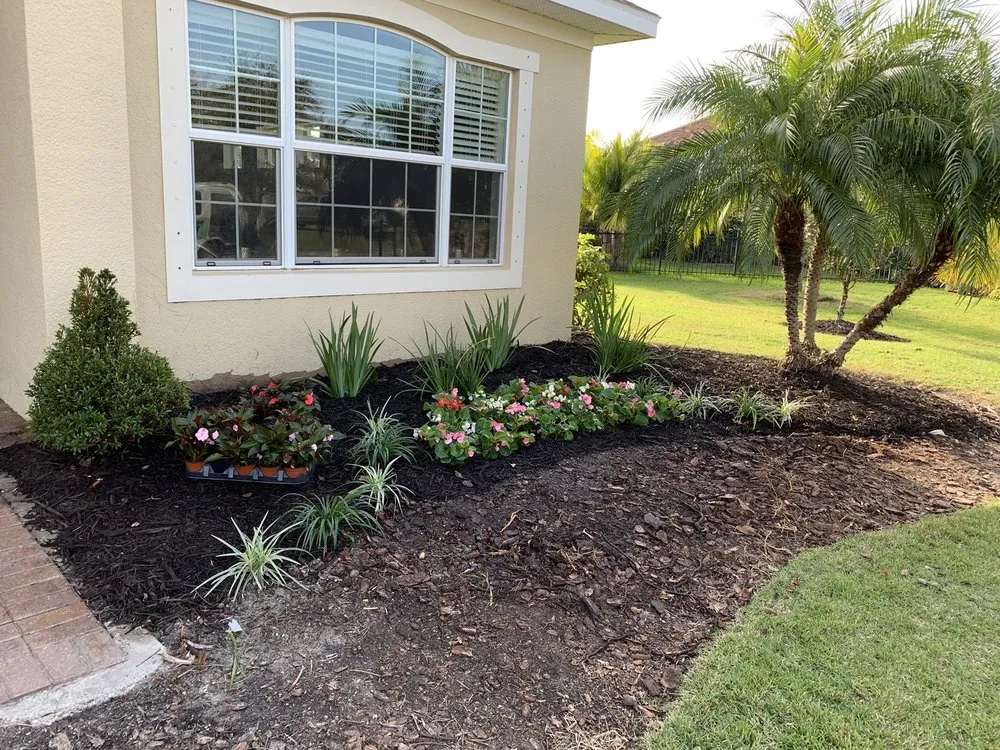 Reliable yard cleanup service for year-round maintenance across Ocala, FL - Roots To Shoots