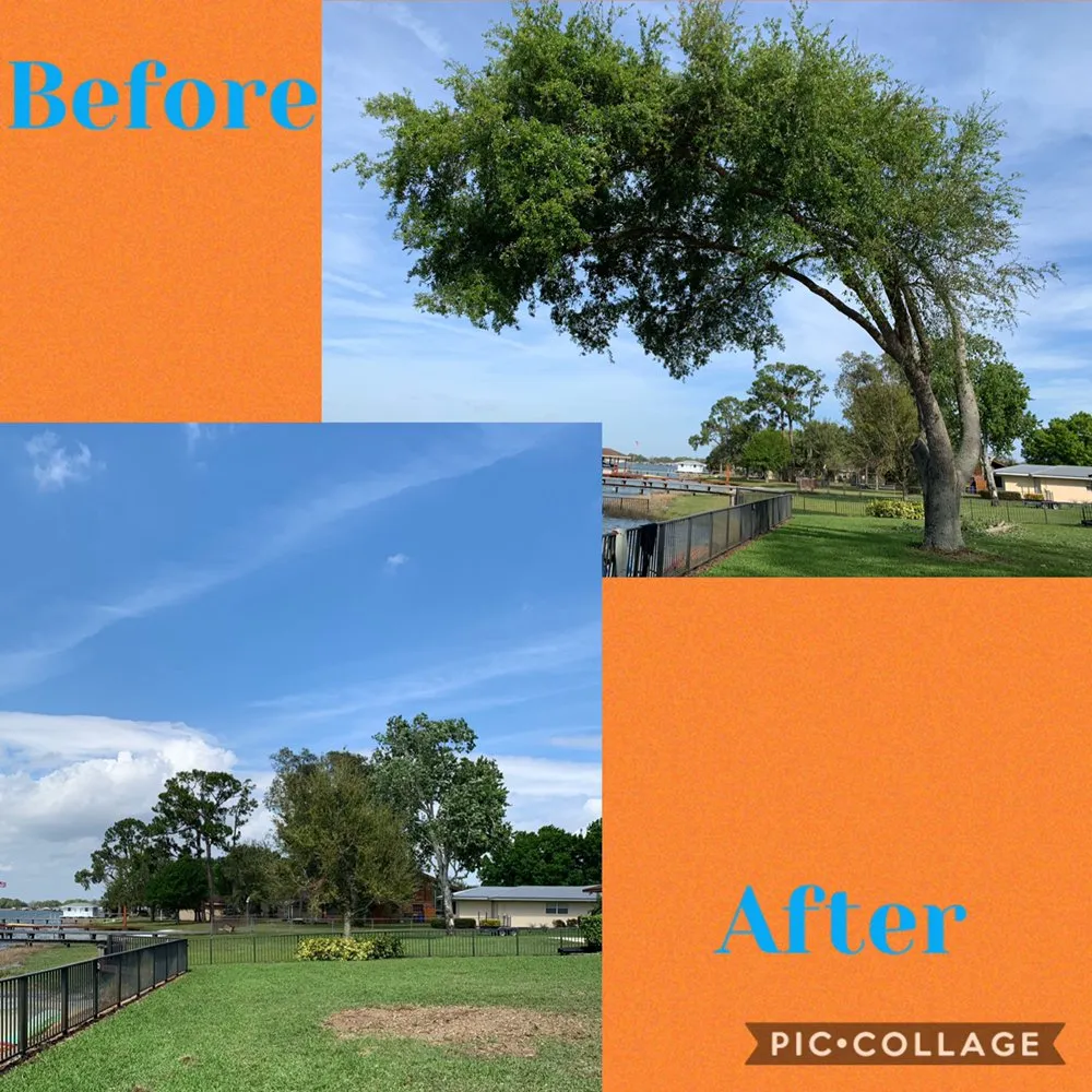 Custom landscaping services in Ocala, FL by Roots To Shoots