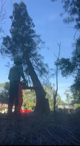 Top-rated landscaping services in Ocala, FL by Roots To Shoots