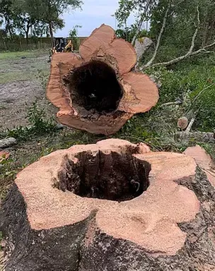 Custom outdoor landscaping for outdoor upgrades across Ocala, FL - Roots To Shoots