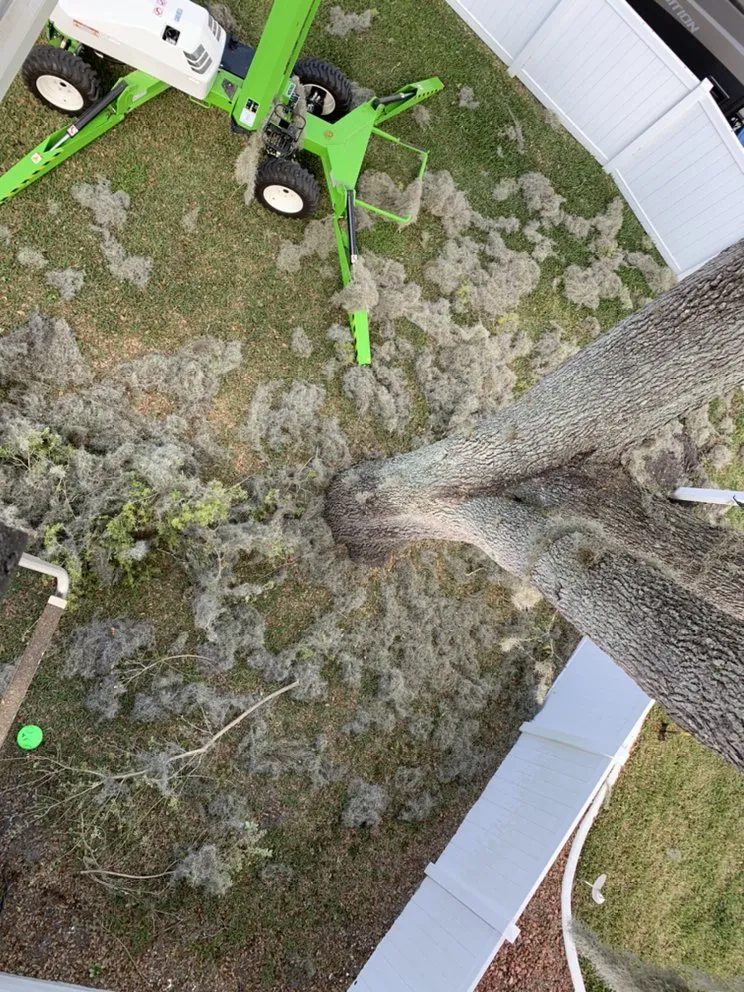 Trusted outdoor landscaping experts serving Ocala, FL - Roots To Shoots