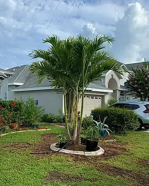 Professional residential landscaping experts serving Ocala, FL - Roots To Shoots