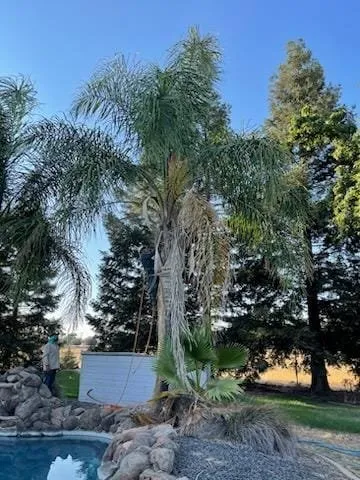 Affordable lawn mowing service with custom design across Modesto, CA - Roots Tree Service And Landscaping