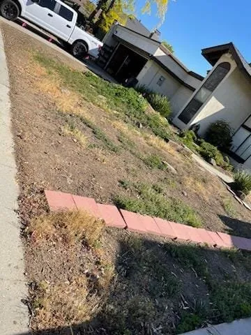 Local yard cleanup service for residential properties across Modesto, CA - Roots Tree Service And Landscaping