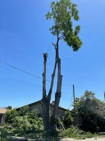 Trusted landscape installation for homes across Modesto, CA - Roots Tree Service And Landscaping