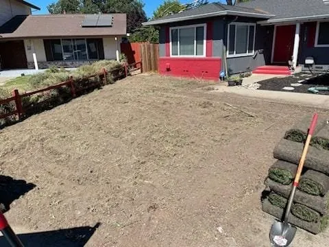 Top-rated lawn mowing service for year-round maintenance in Modesto, CA by Roots Tree Service And Landscaping