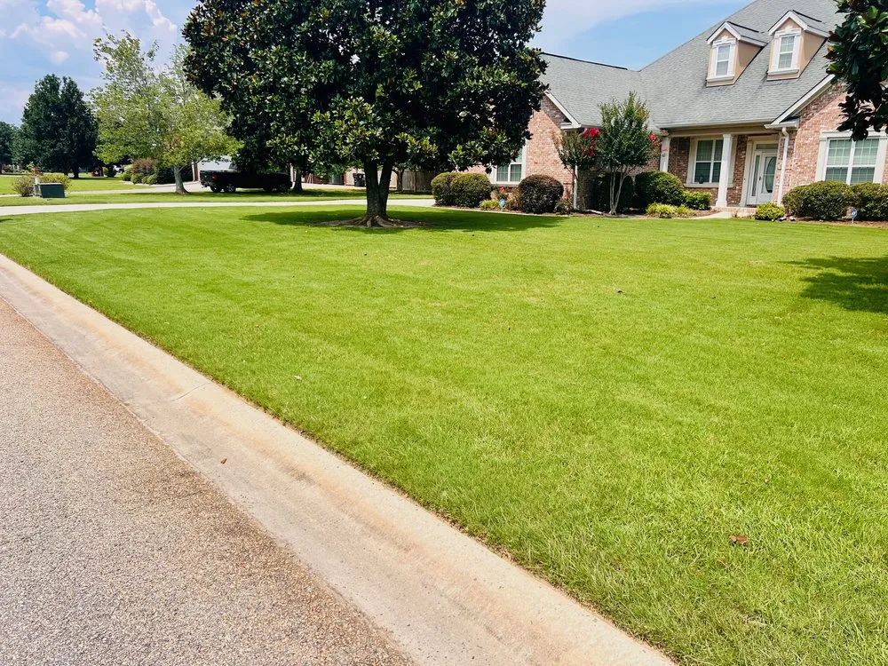 Professional yard maintenance in Bonaire, GA - Roots Turf & Ornamental