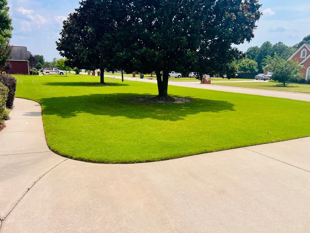 Professional yard maintenance in Bonaire, GA by Roots Turf & Ornamental