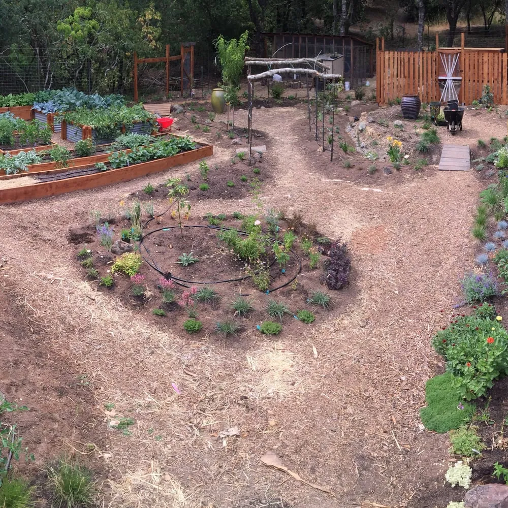 Expert landscaping services for residential properties across Forestville, CA - Rootstock Landscapes