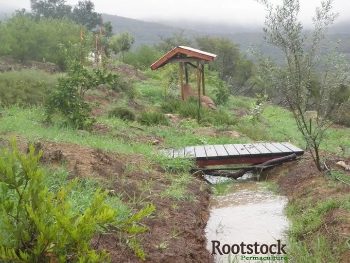 Top-rated garden landscaping for beautiful yards in Forestville, CA by Rootstock Landscapes