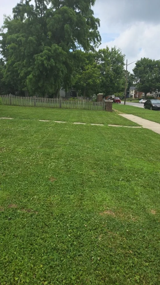 Top-rated outdoor landscaping near you in Martinsville, IN by Roper Mowing