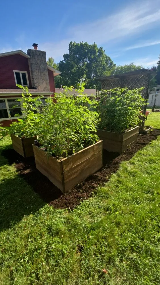 Reliable yard cleanup service in Martinsville, IN - Roper Mowing