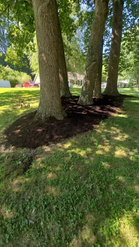 Expert yard cleanup service experts serving Martinsville, IN - Roper Mowing