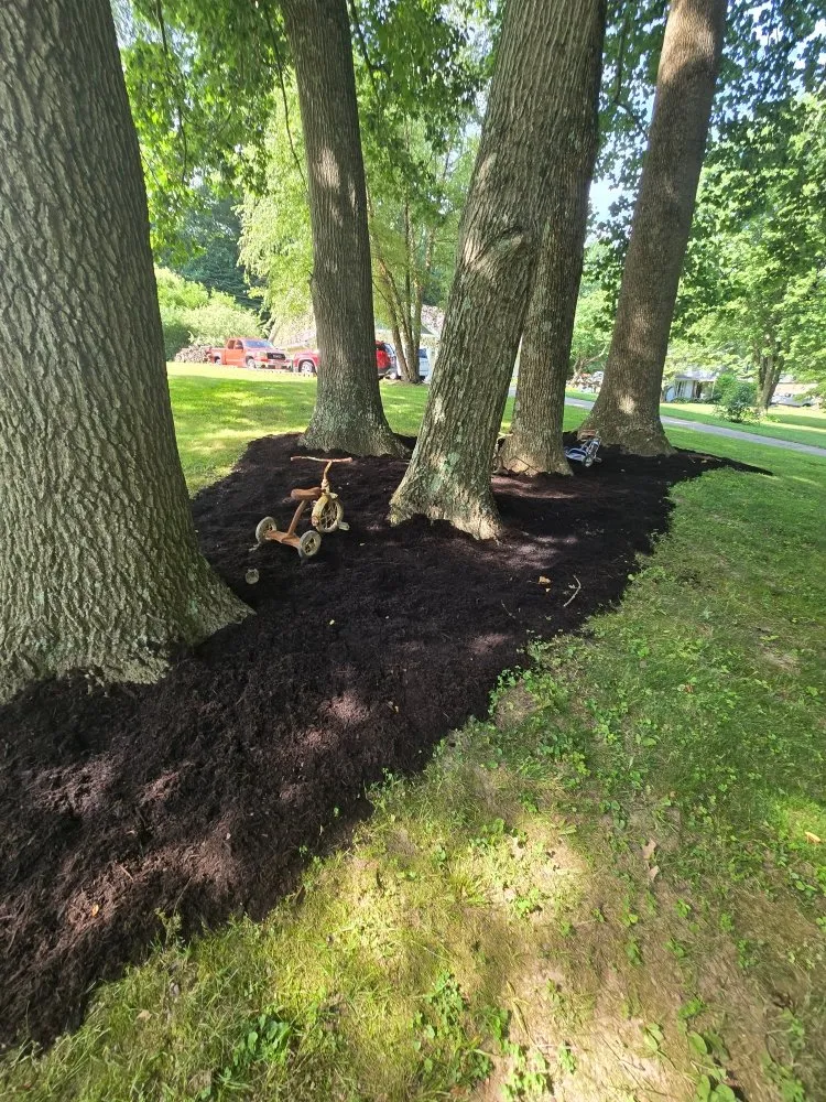 Affordable yard cleanup service in Martinsville, IN by Roper Mowing