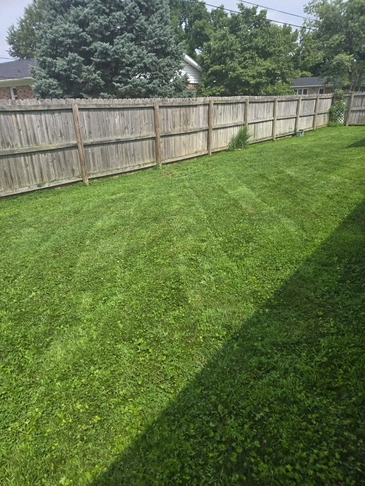 Professional landscape design for outdoor upgrades in Martinsville, IN by Roper Mowing
