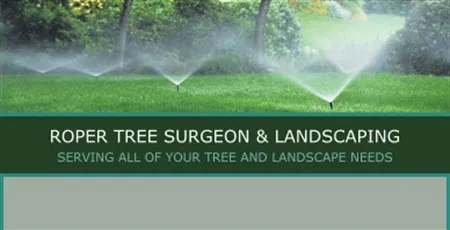 Local garden landscaping experts serving Compton, CA - Roper Tree Surgeon and Landscaping
