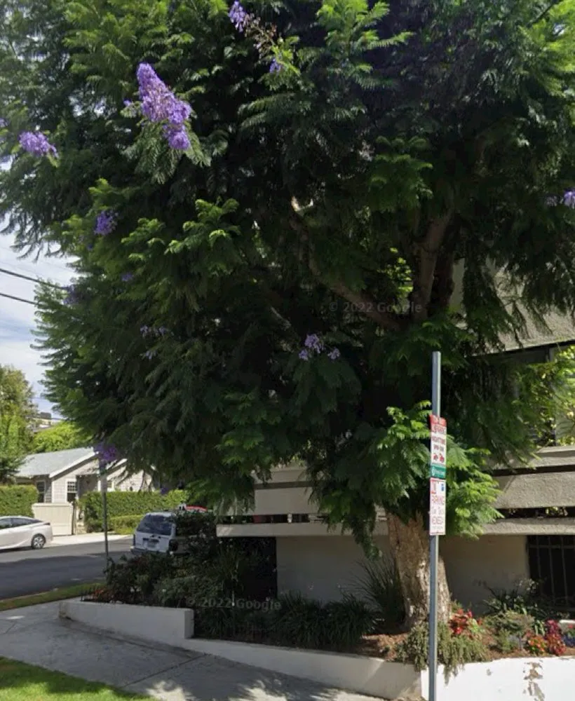 Top-rated outdoor landscaping experts serving Compton, CA - Roper Tree Surgeon and Landscaping