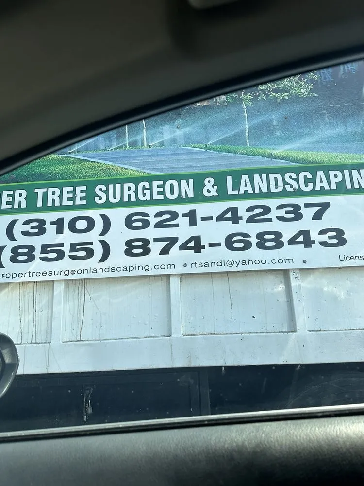Reliable lawn care service experts serving Compton, CA - Roper Tree Surgeon and Landscaping