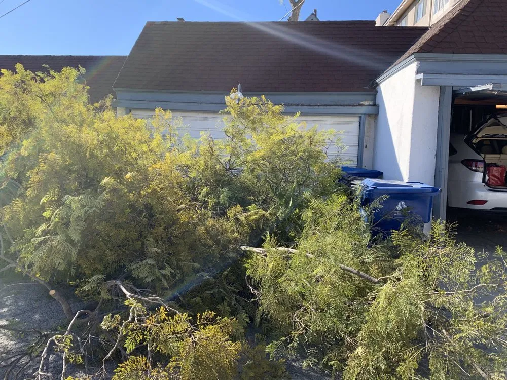 Custom landscaping services experts serving Compton, CA - Roper Tree Surgeon and Landscaping