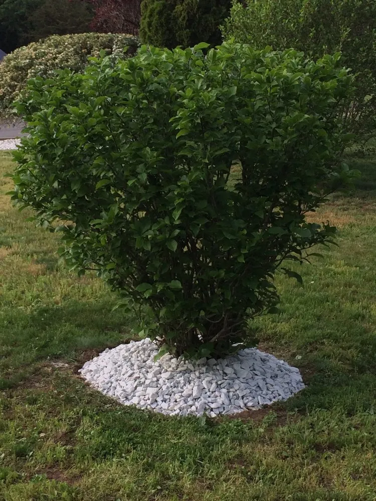 Top-rated yard maintenance for residential properties across Hartford, CT - Roper's Landscaping