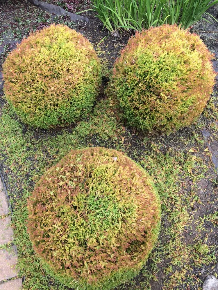 Affordable garden landscaping with custom design across Hartford, CT - Roper's Landscaping