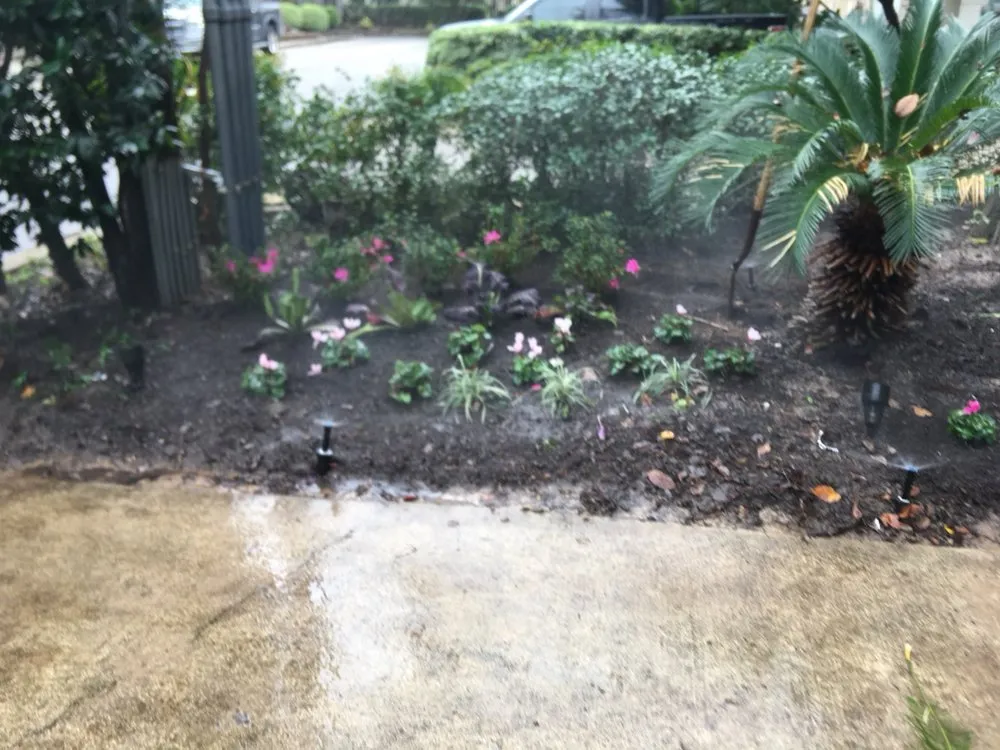 Top-rated lawn mowing service for year-round maintenance in Houston, TX by Roque's Custom Landscaping