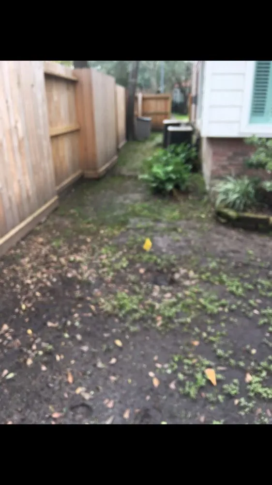 Local landscaping services in Houston, TX by Roque's Custom Landscaping