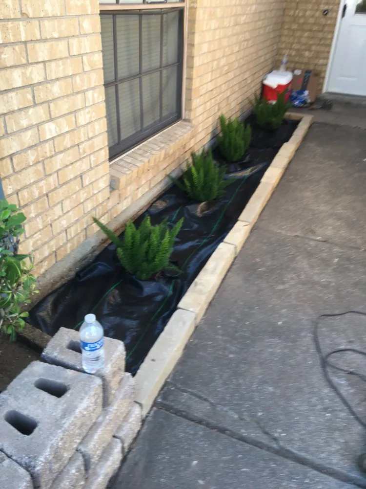 Trusted garden landscaping for homes across Houston, TX - Roque's Custom Landscaping