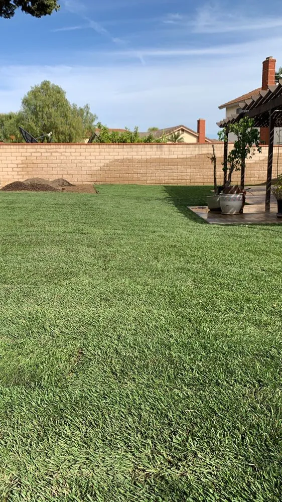 Professional lawn mowing service in City of Industry, CA - Roque’s Landscaping