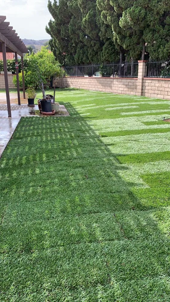 Custom landscape design near you across City of Industry, CA - Roque’s Landscaping