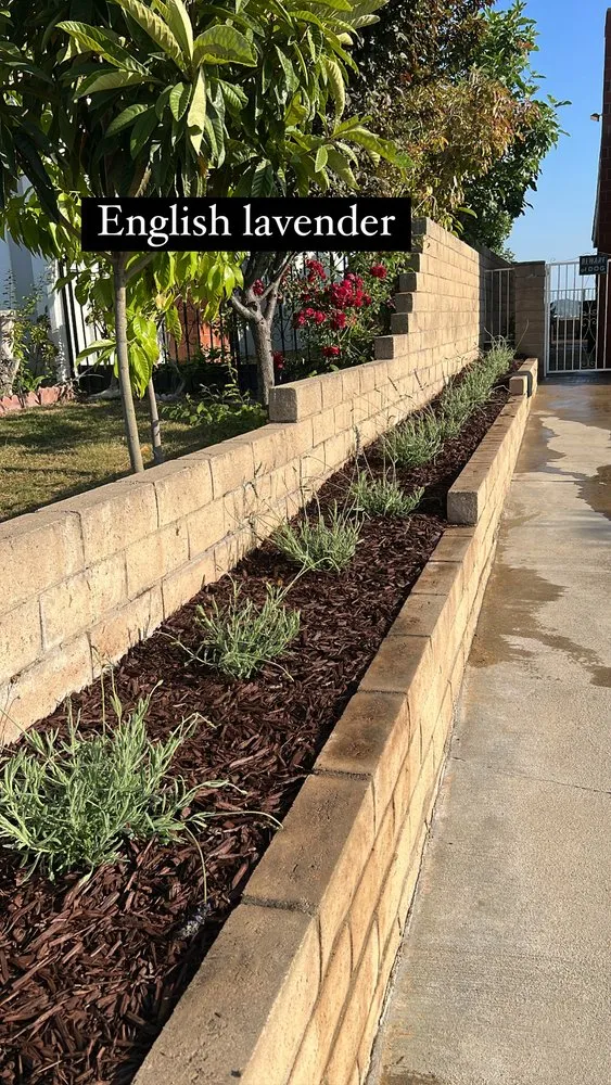 Custom outdoor landscaping for homes in City of Industry, CA by Roque’s Landscaping