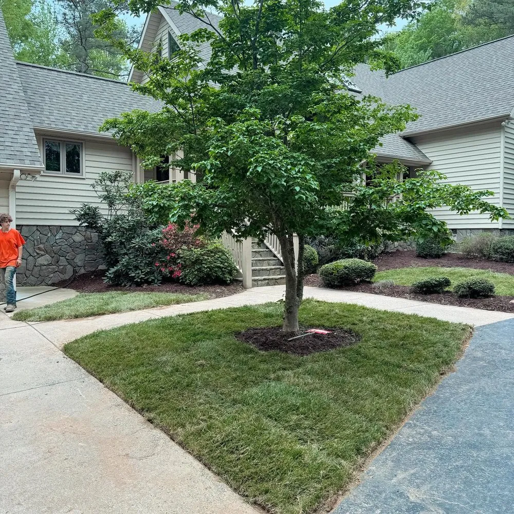 Top-rated outdoor landscaping for year-round maintenance across Hillsborough, NC - Rorie's Landscaping
