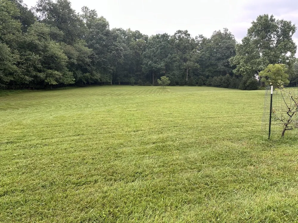 Professional yard cleanup service with custom design in Orwigsburg, PA by Rorke’s Lawn Care