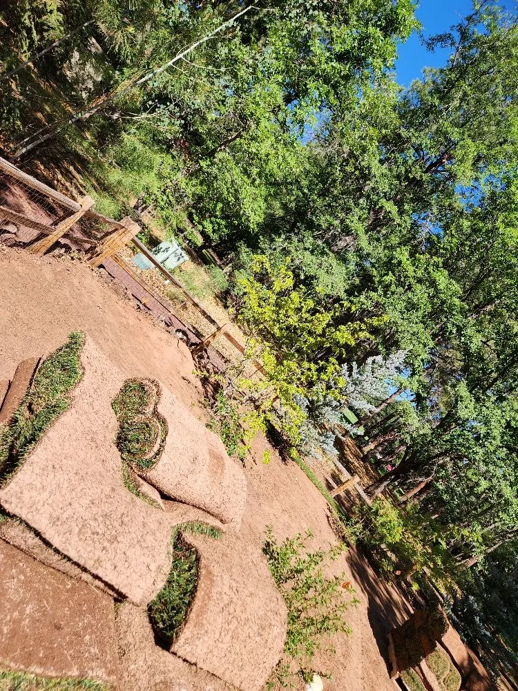 Professional garden landscaping in Show Low, AZ by Rorro Landscaping Services