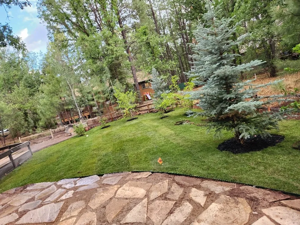 Professional residential landscaping near you in Show Low, AZ by Rorro Landscaping Services