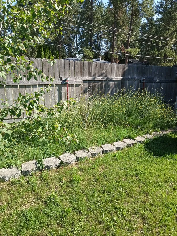 Trusted yard cleanup service in Spokane, WA - Rory's Lawn Care