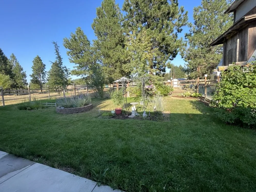 Professional yard cleanup service for year-round maintenance in Spokane, WA by Rory's Lawn Care