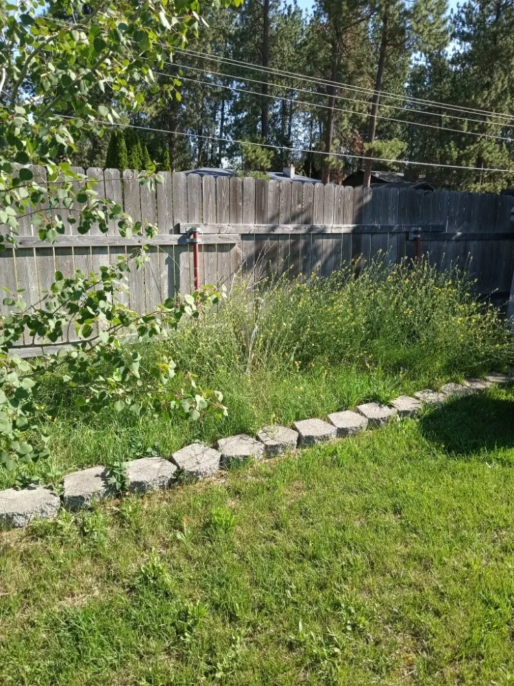 Trusted yard maintenance experts serving Spokane, WA - Rory's Lawn Care