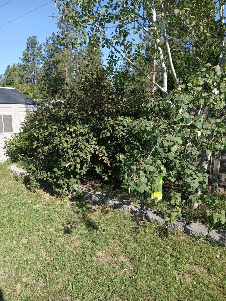 Expert yard cleanup service with custom design across Spokane, WA - Rory's Lawn Care